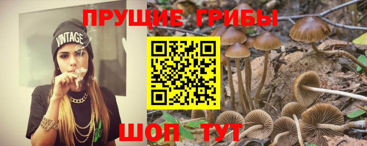 Галлюциногенные грибы GOLDEN TEACHER Назрань